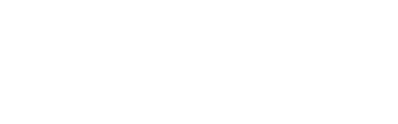fonio.ai
